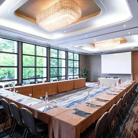 Hilton Straßburg